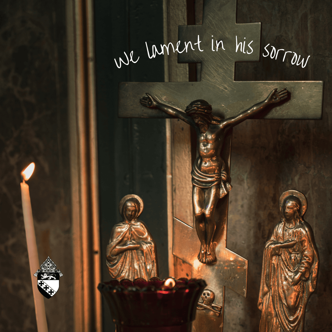 Diocese of Charleston tweet media