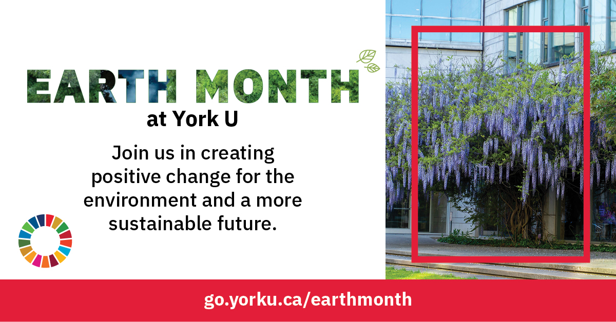 York University tweet media