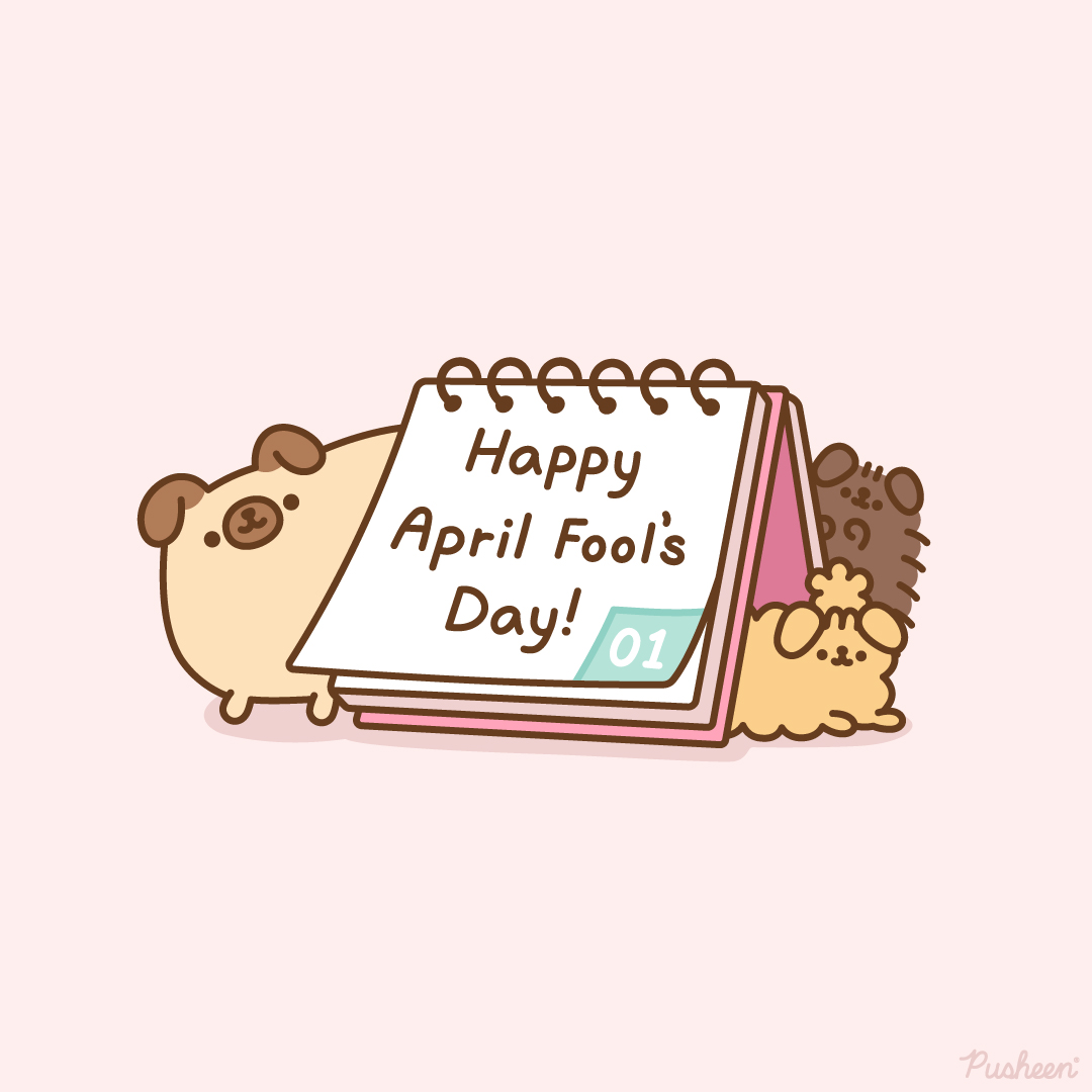 Pusheen the cat tweet media