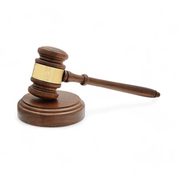 GotDamnZo 🦕💨 tweet media