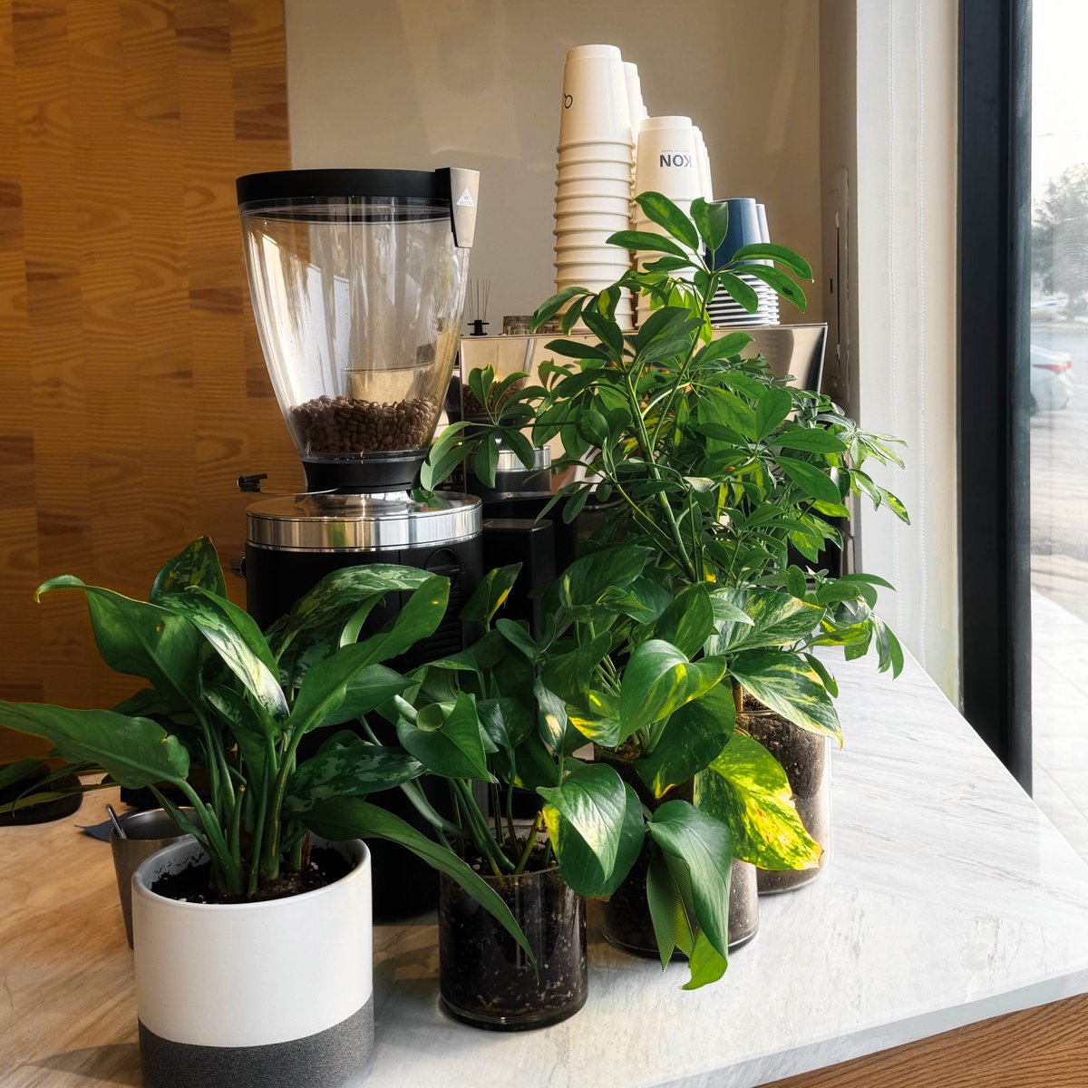 نوره 📷 tweet media