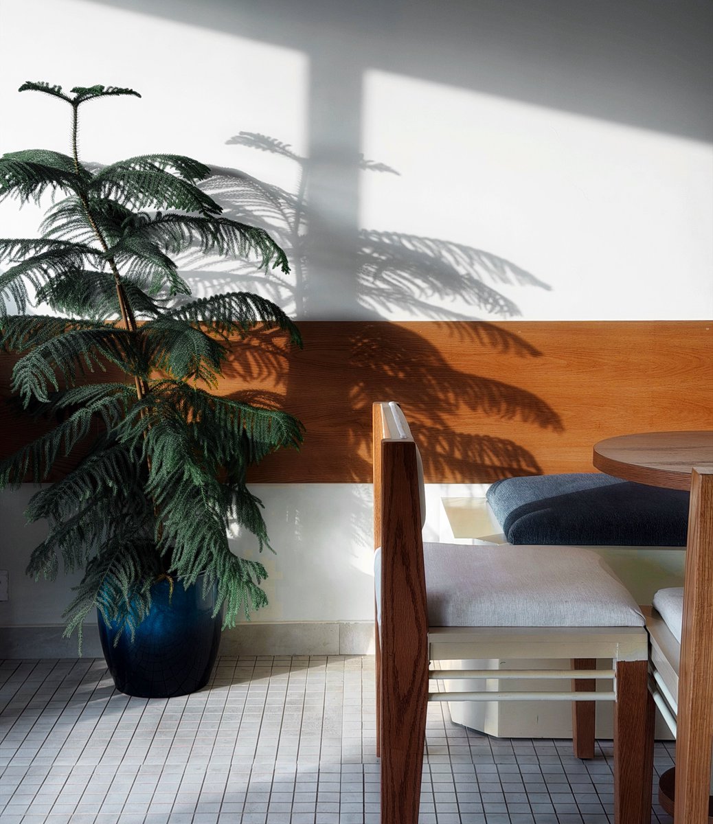 نوره 📷 tweet media