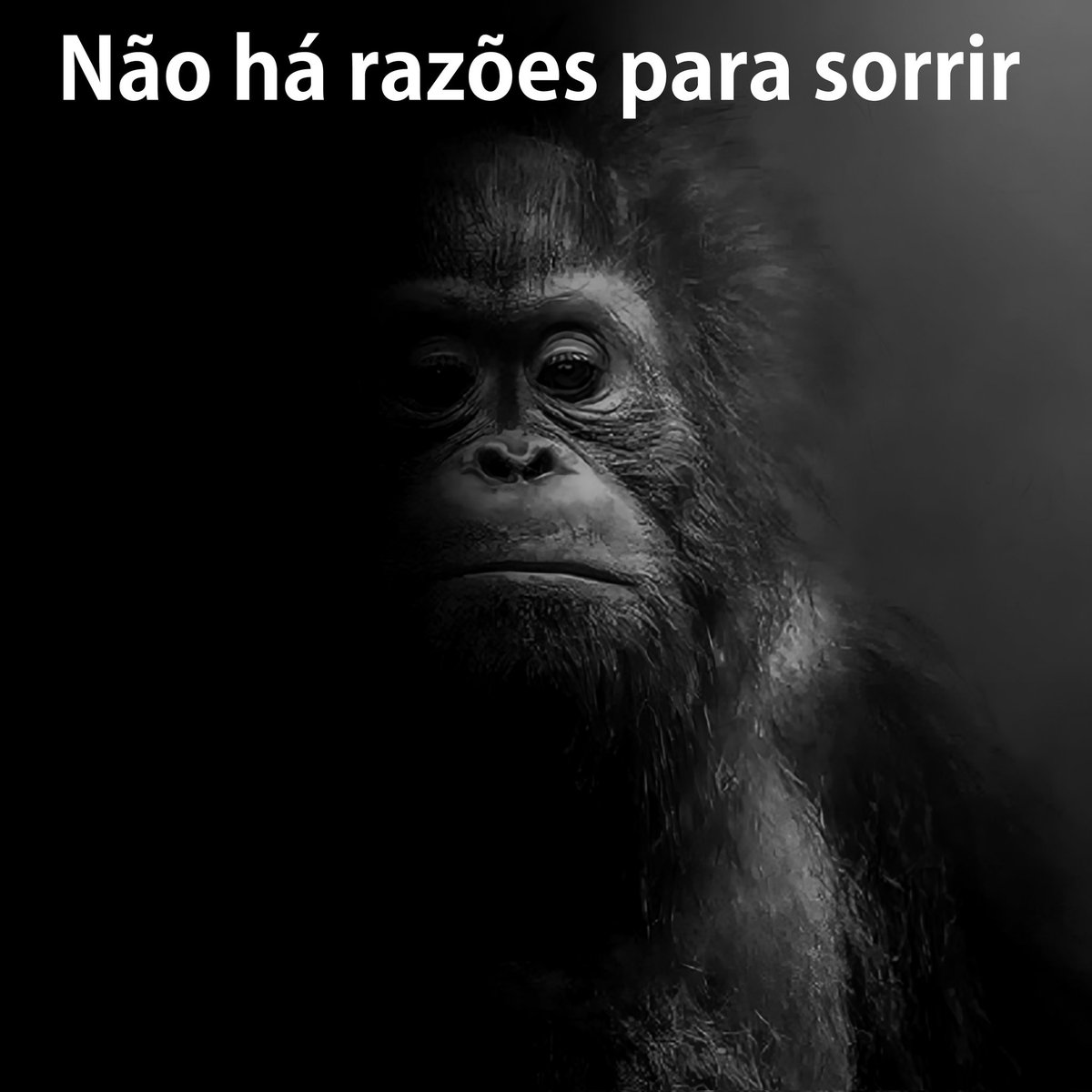 &$Claudin O iludido$& tweet media