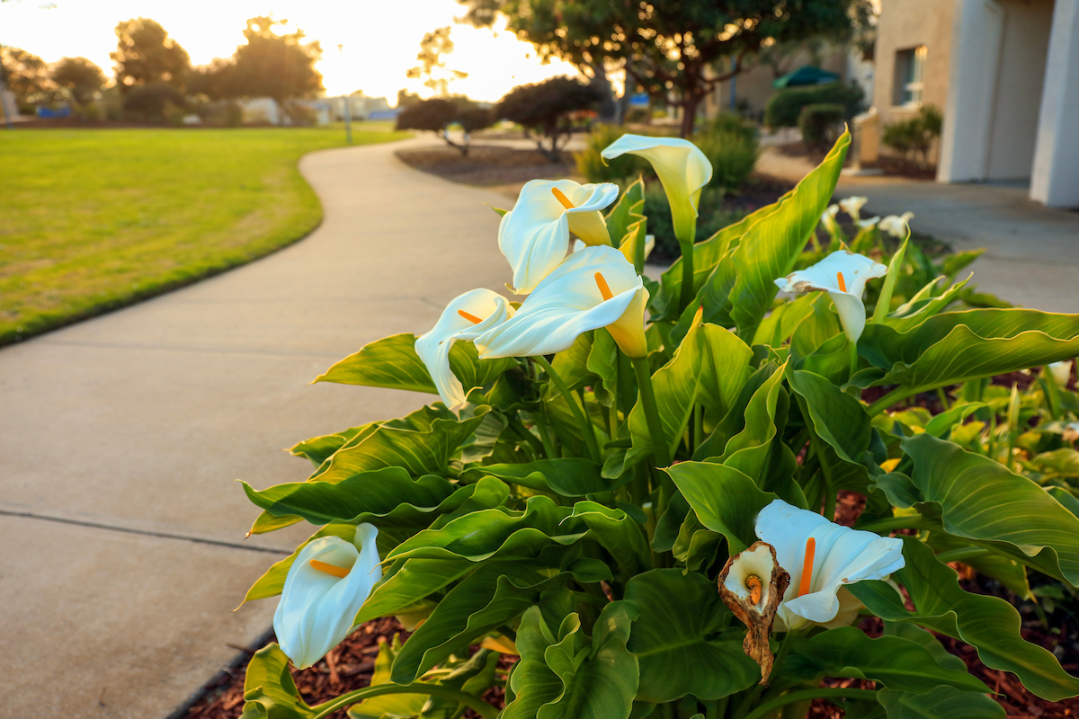 Cal State Monterey Bay tweet media