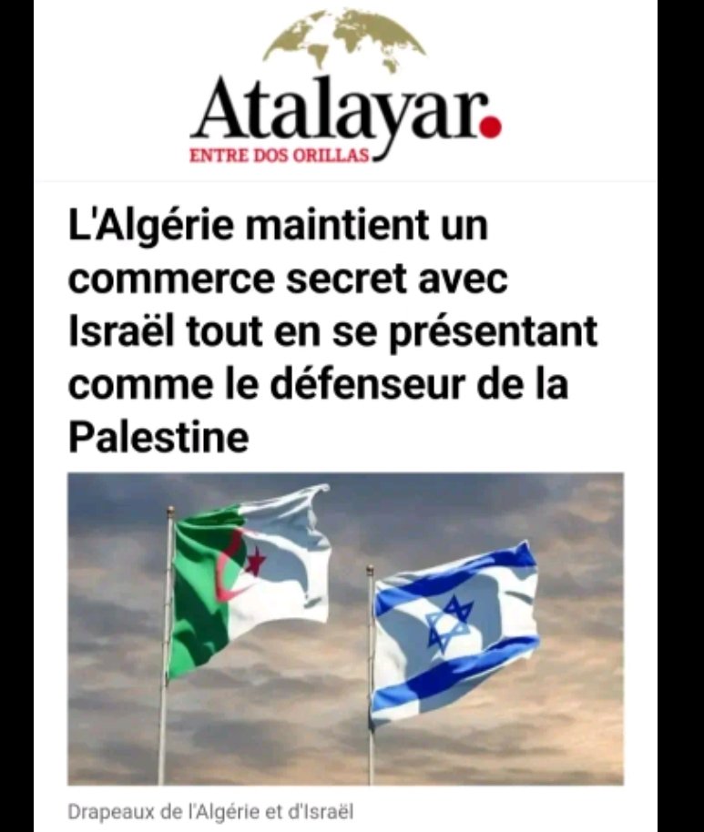 Samira 🇲🇦🌟🌟🦁 tweet media