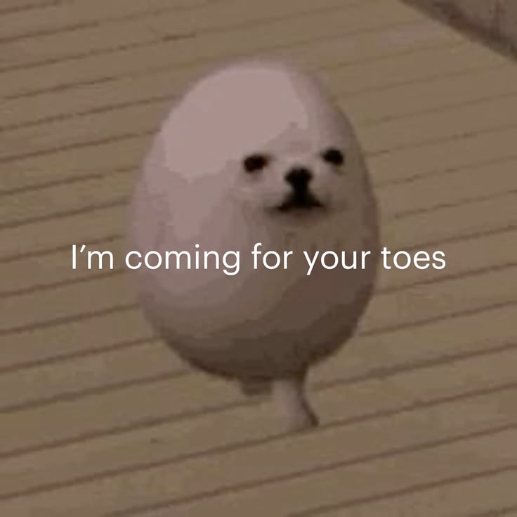 crow knight🍓🌱 tweet media