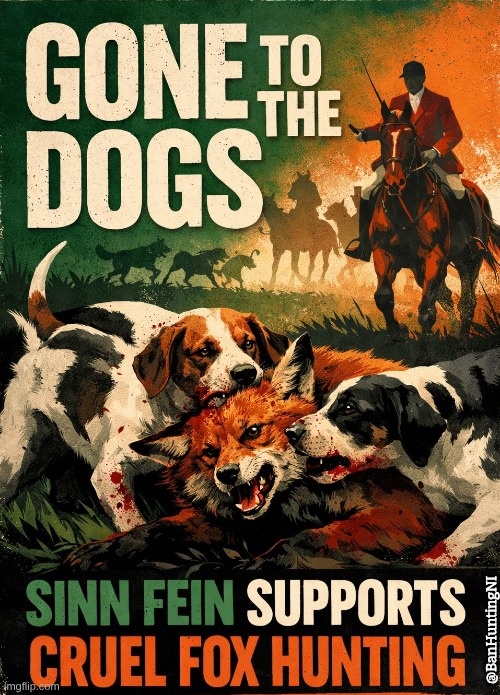 Ban The Hunt NI 🦊 🇬🇧 tweet media