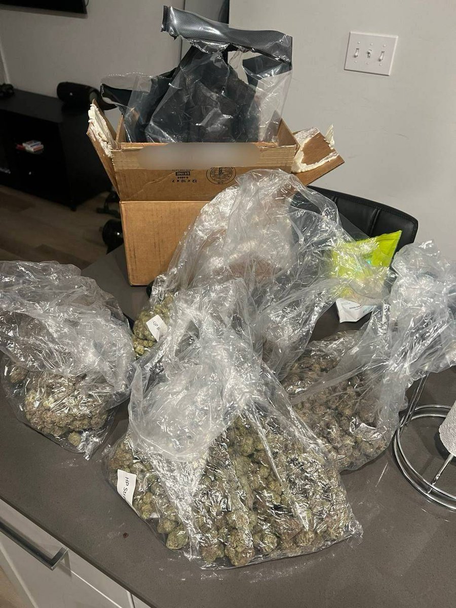 sincity seeds tweet media