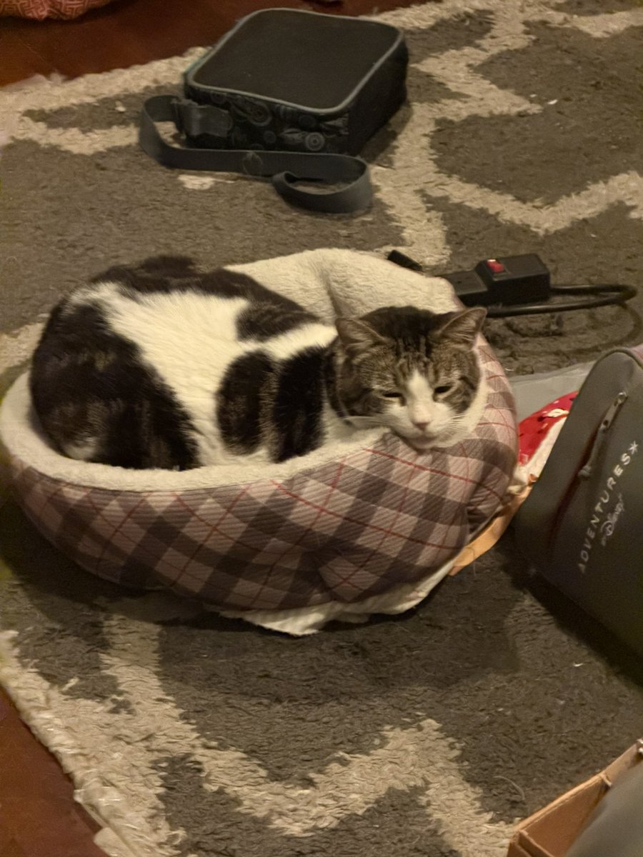 Jake Soto tweet media