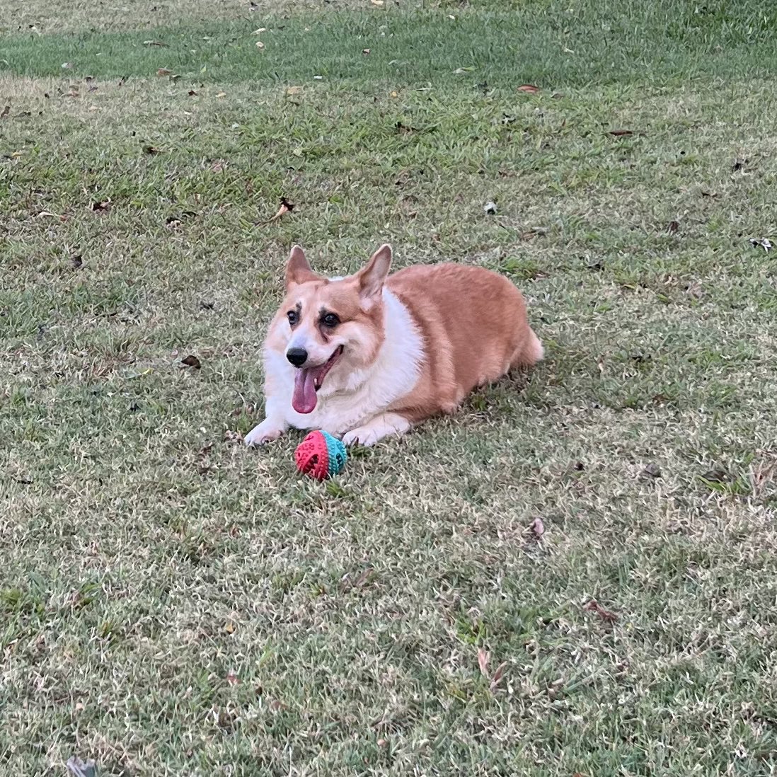 Ordinaryfern tweet media