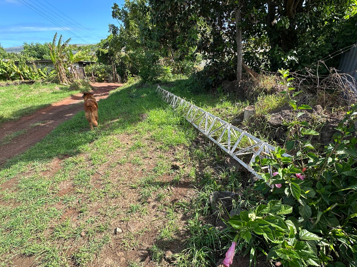 DX World.net tweet media