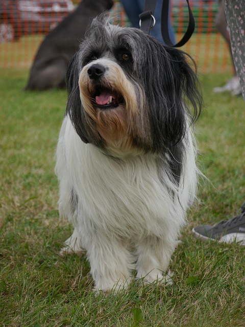 Yolanda Mckenzie tweet media