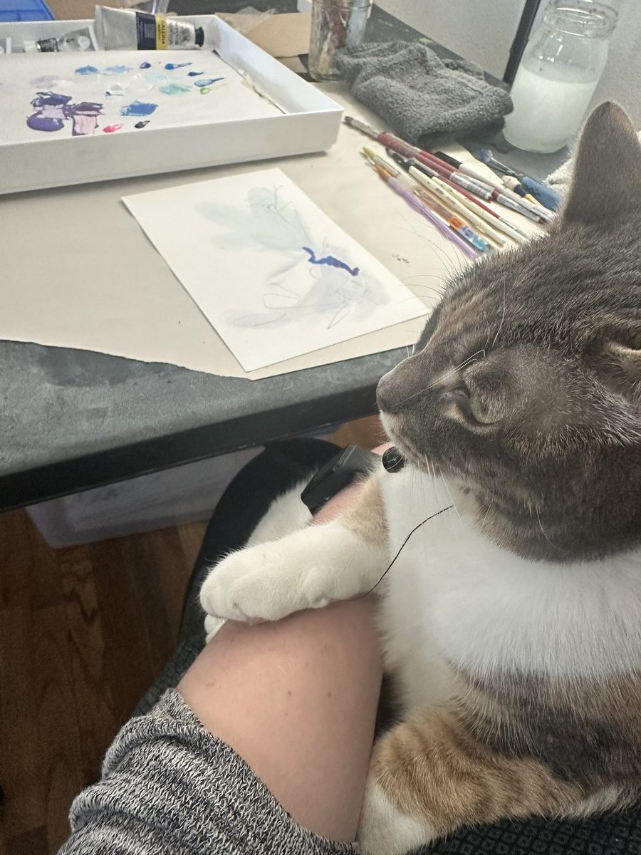 Rosina Lee🌻 tweet media