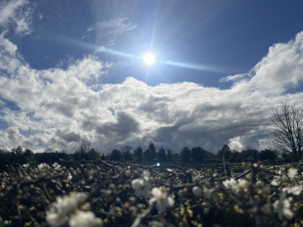 John Kennedy tweet media