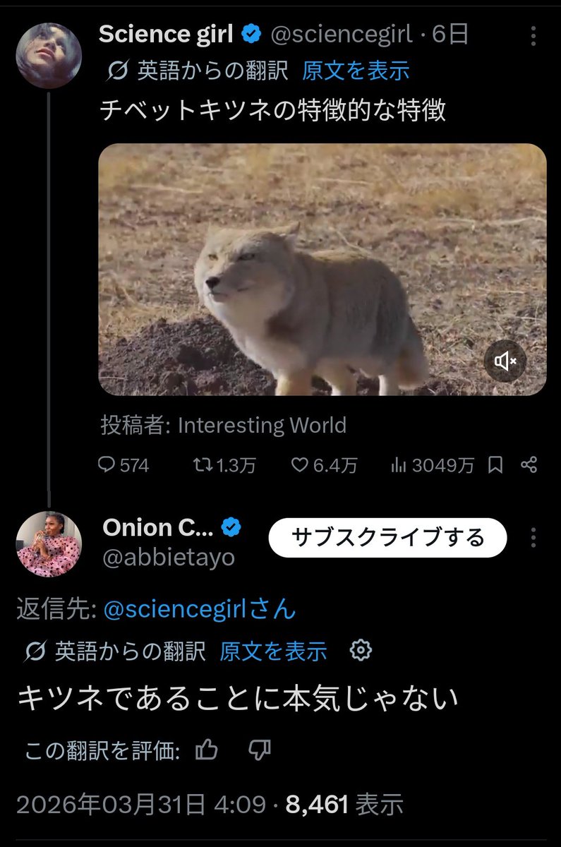こば よし tweet media
