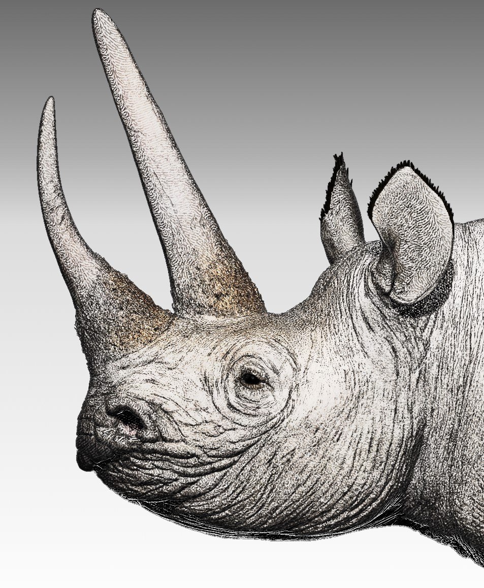 ZoaTusker studio tweet media