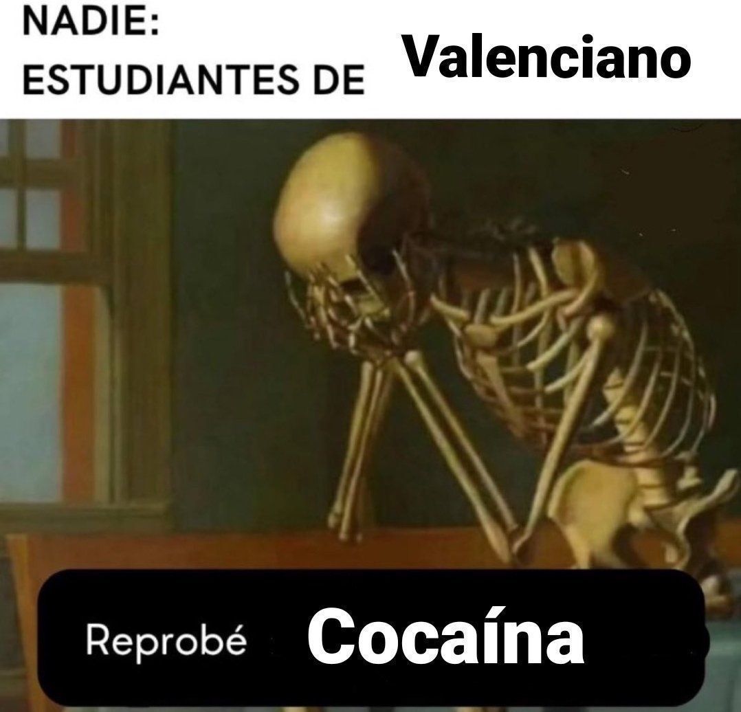 chincheto pirata somali tweet media