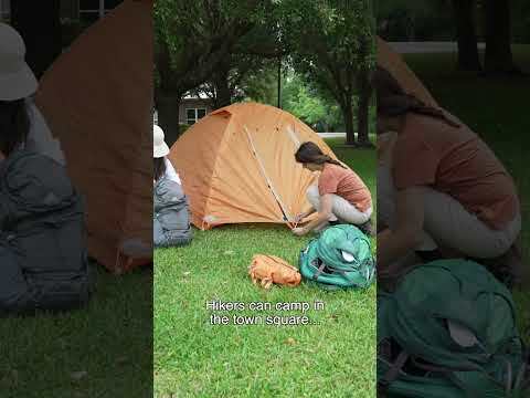 The Beach Life tweet media