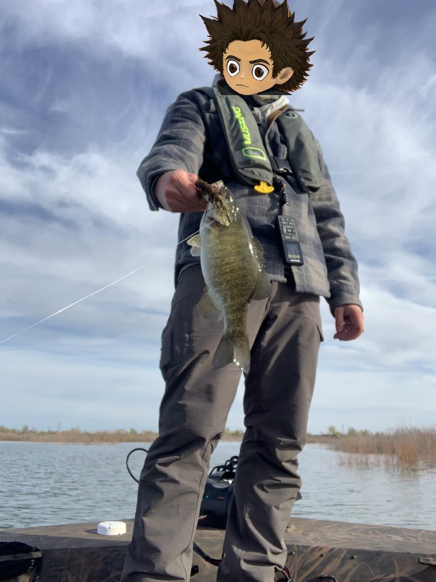 Half Brain o7 tweet media