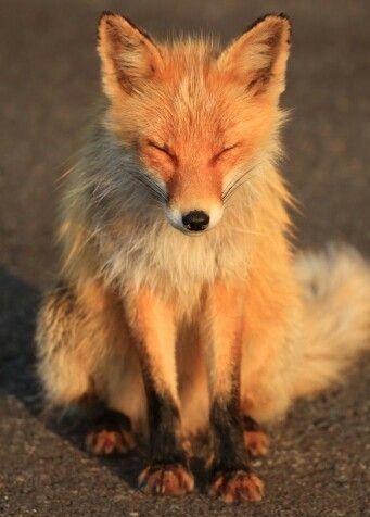 bunzzh 🥠 tweet media