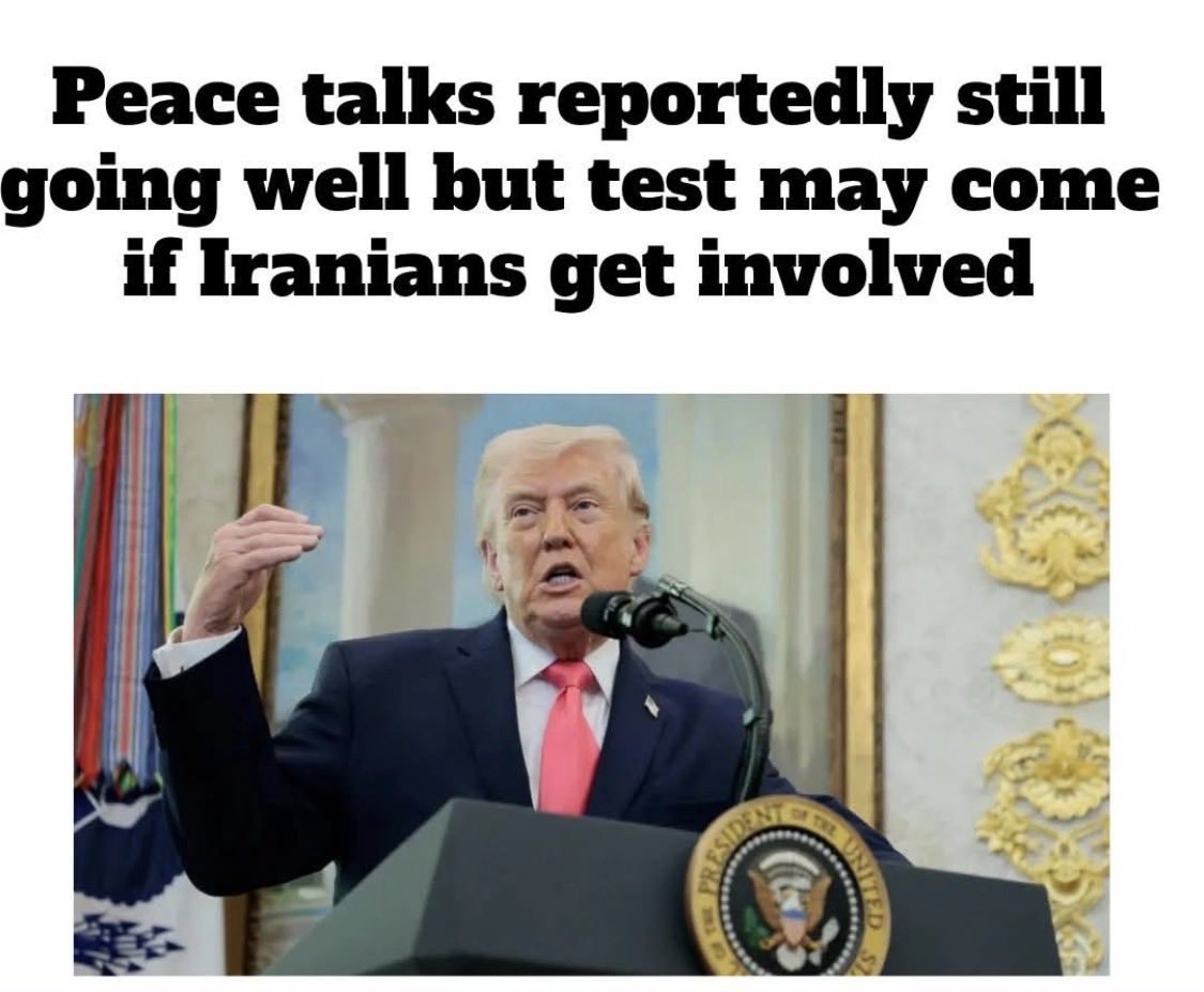 Boo The Serval tweet media