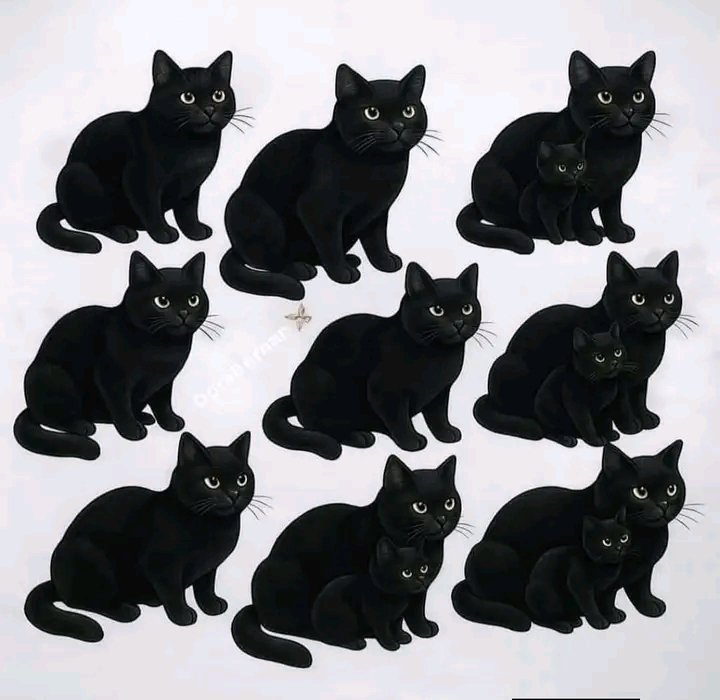 Jacob Shukuru tweet media