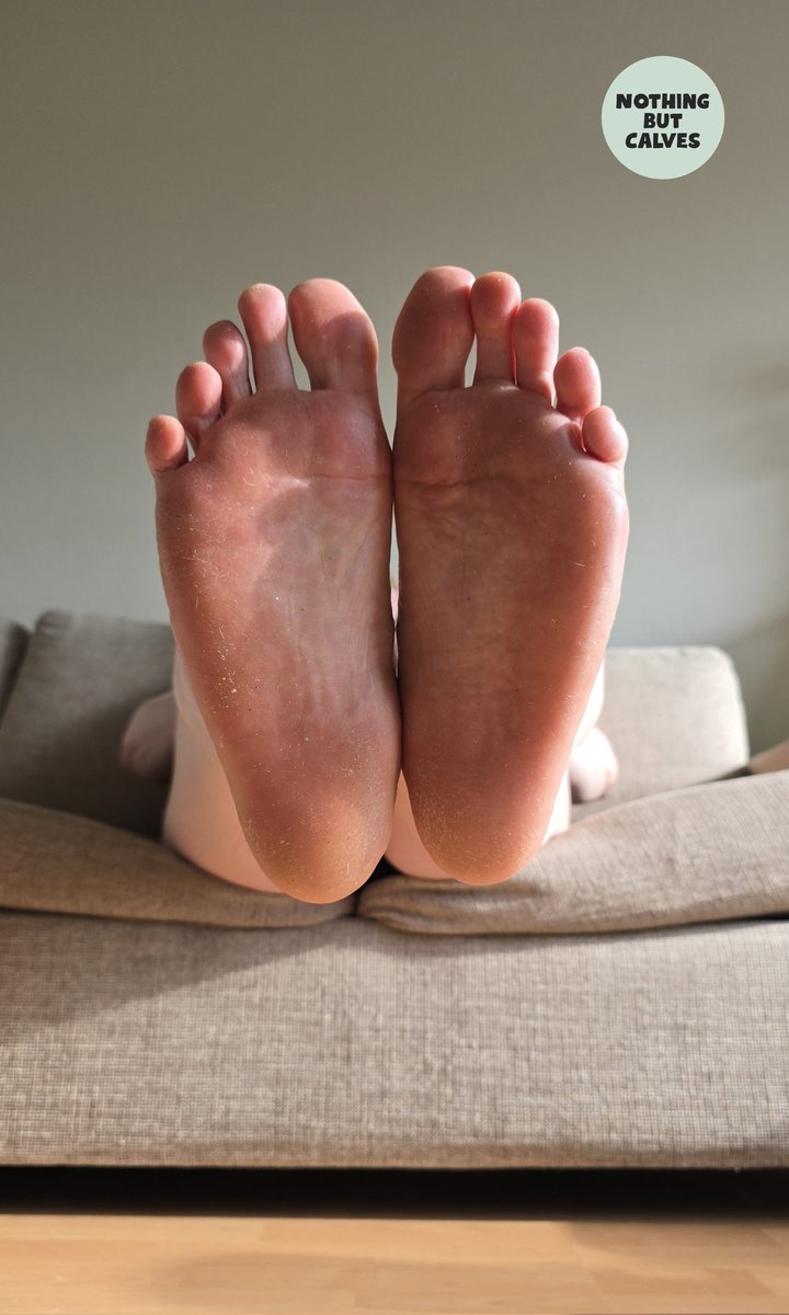 Miss Calves tweet media