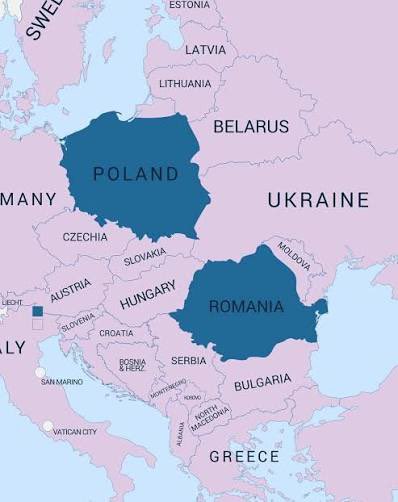 Slavic Networks tweet media