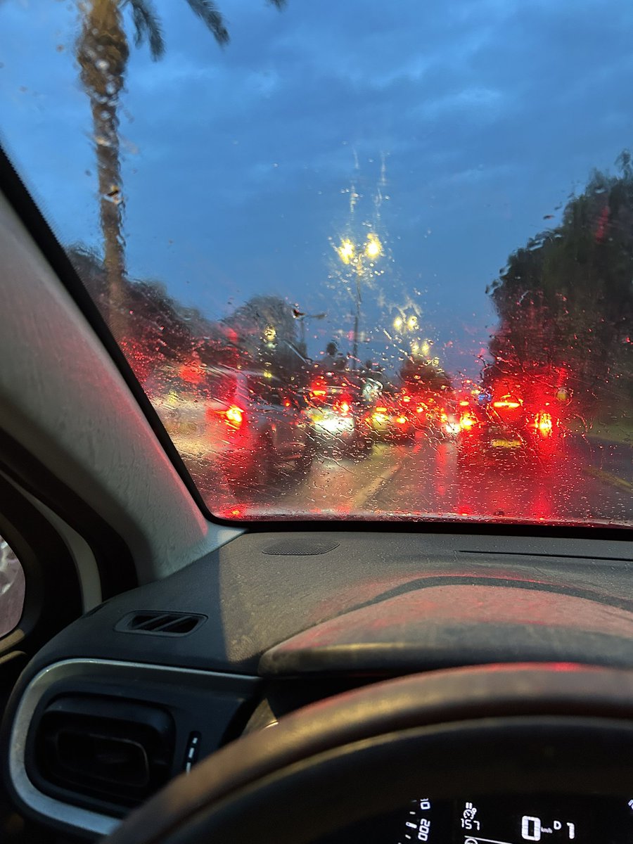 Yaeli Avnery👊 tweet media