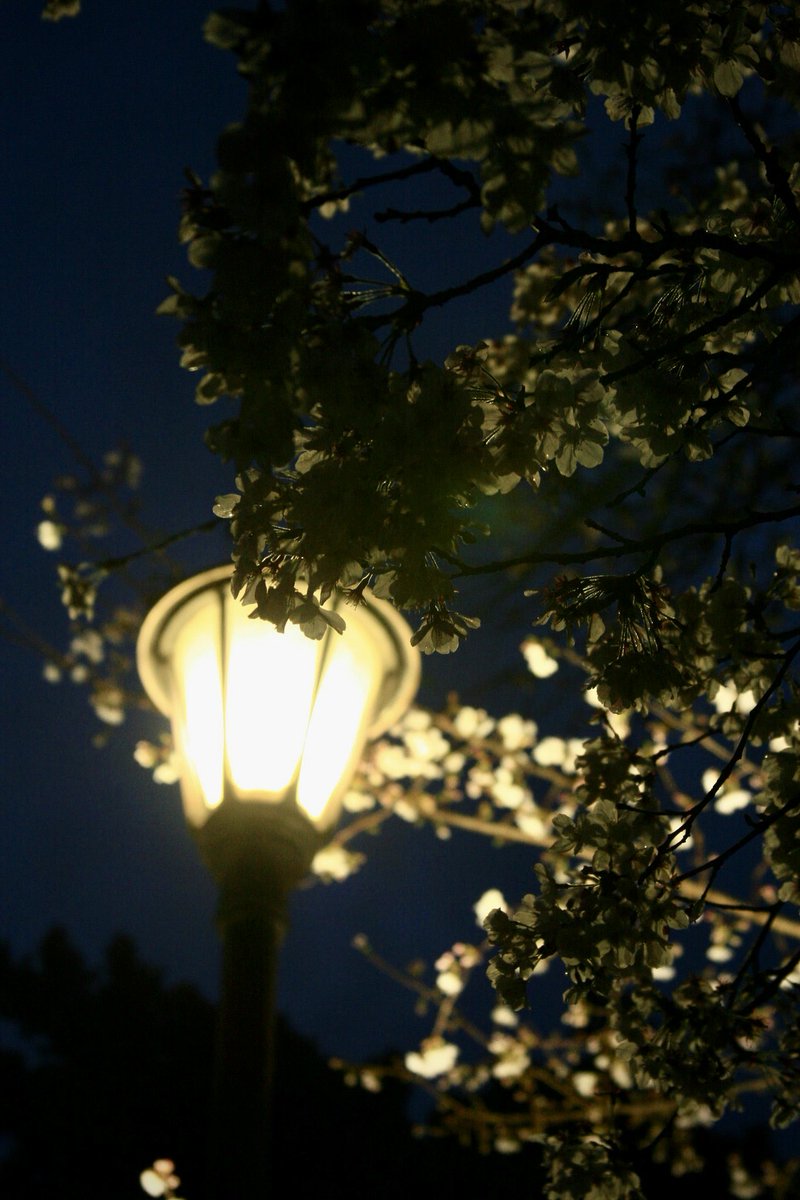 ｫﾑT=з宀 tweet media