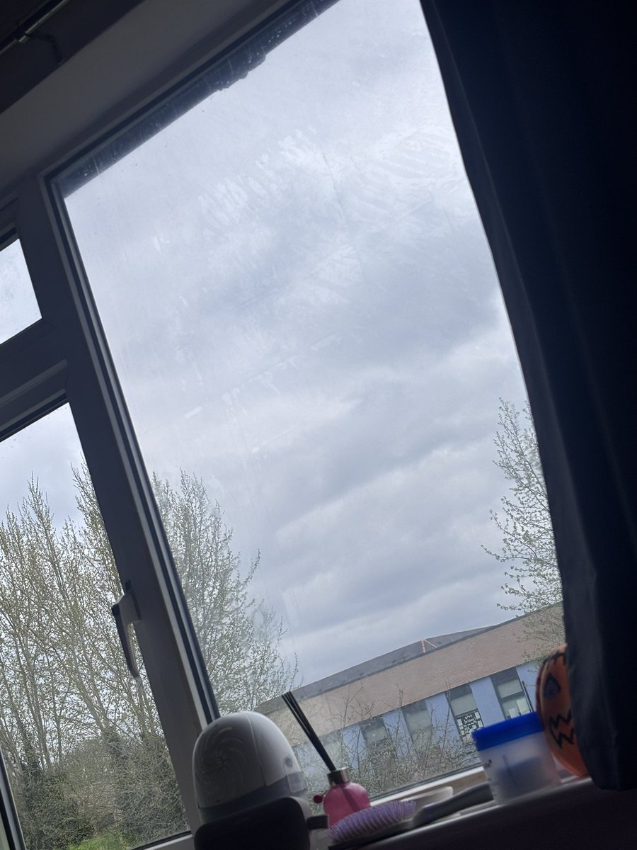 Alessandro tweet media