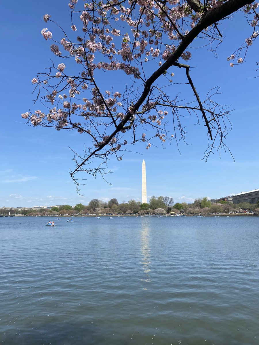 Crys 🕯️ tweet media