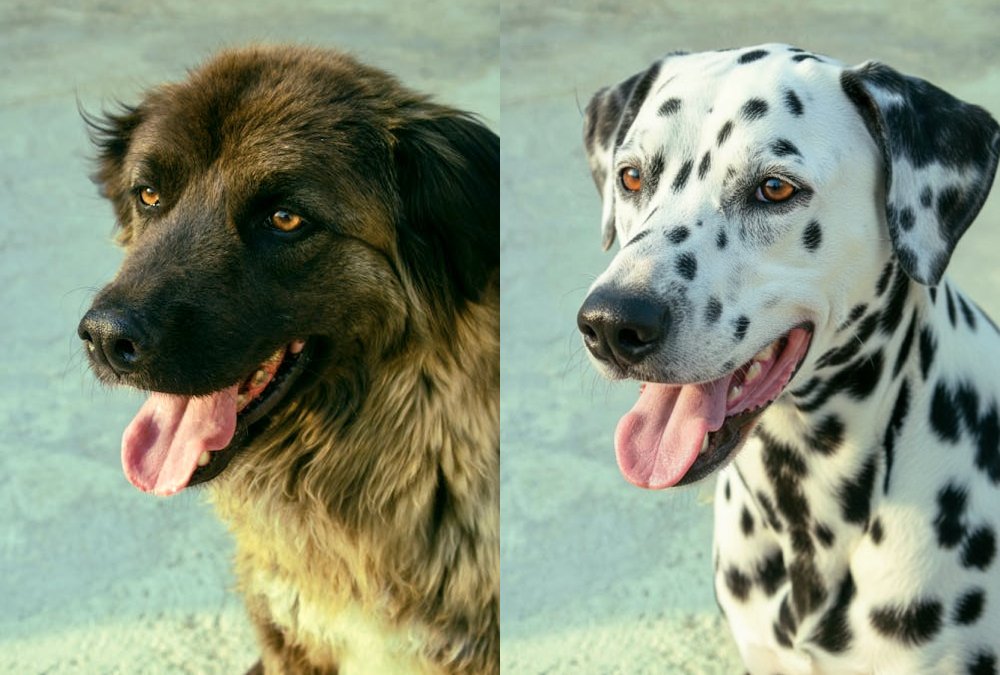 FASHN AI tweet media