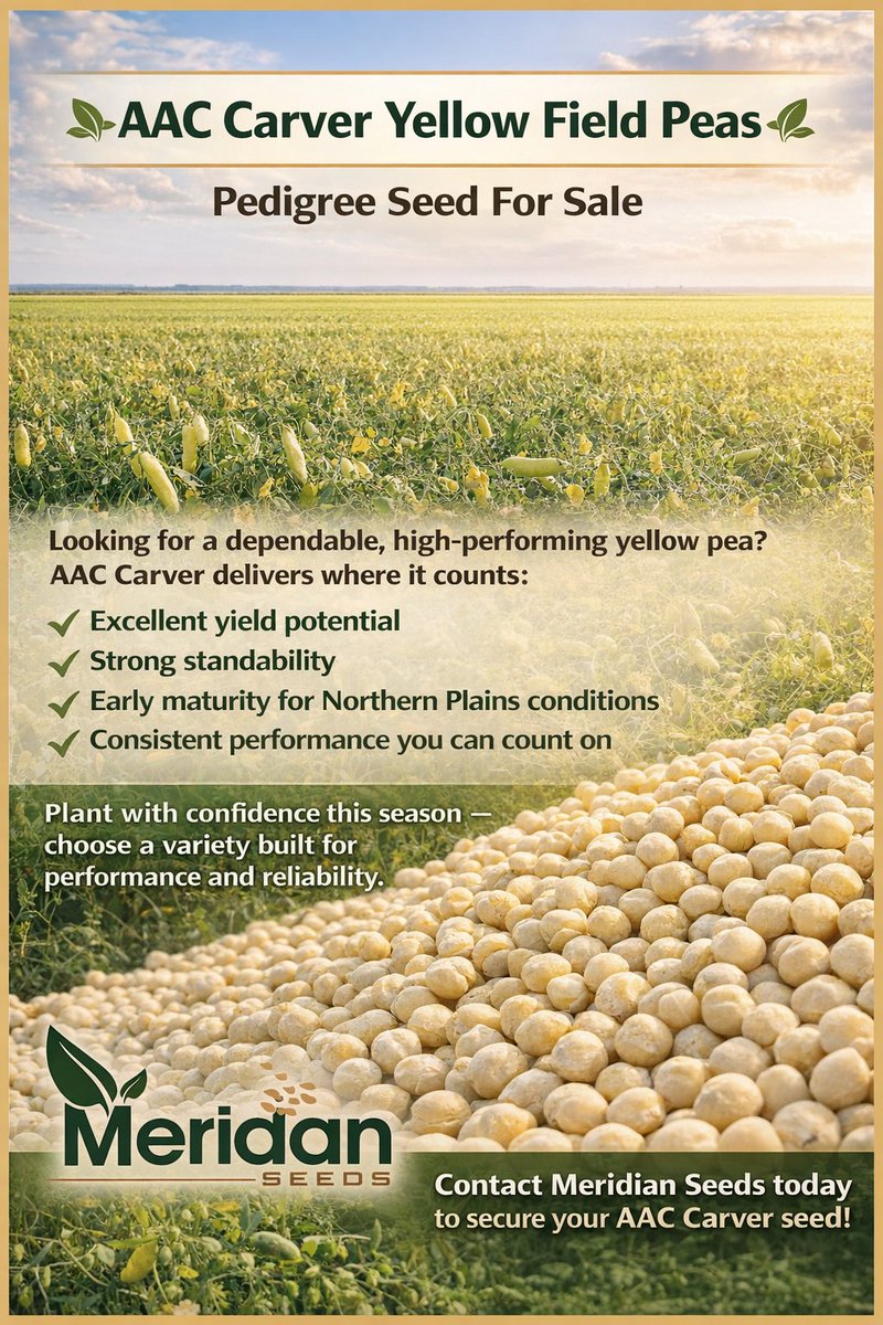 Meridian Seeds tweet media