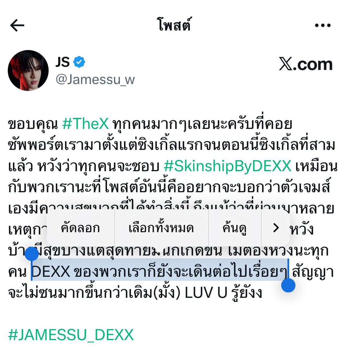 pippipruru tweet media