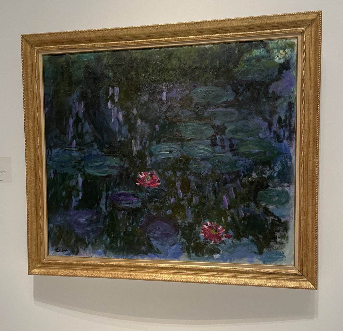 Mooky🎐✨ tweet media