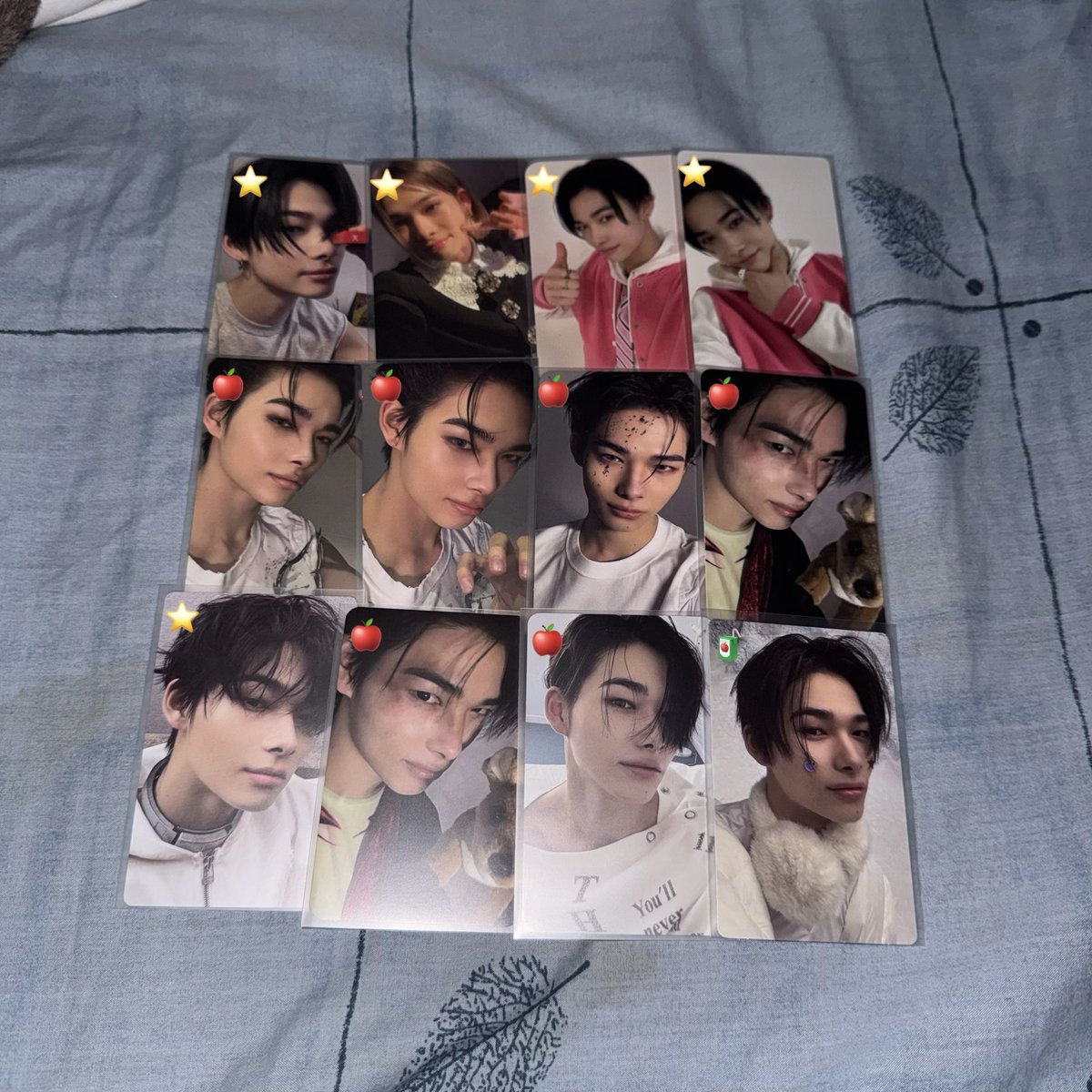 𝓪vi ; ENHYPEN IS 7 tweet media