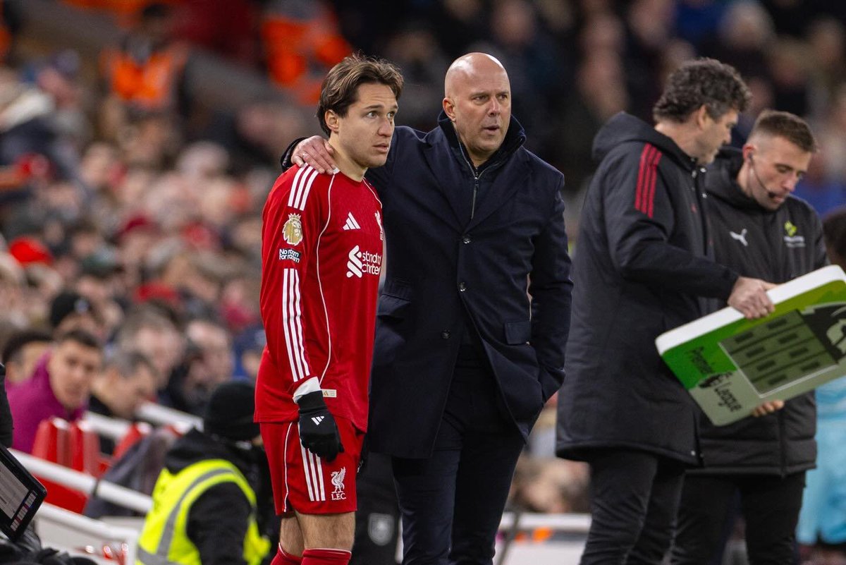 شبــكـــة لــيفــربــول 🐦‍🔥 tweet media