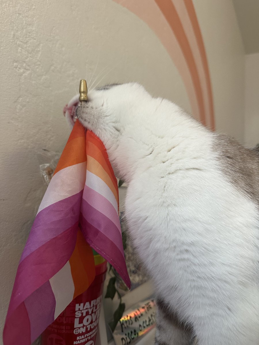 jenny!! 🍄 tweet media