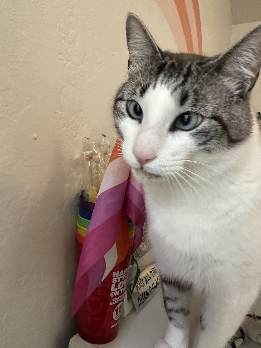 jenny!! 🍄 tweet media