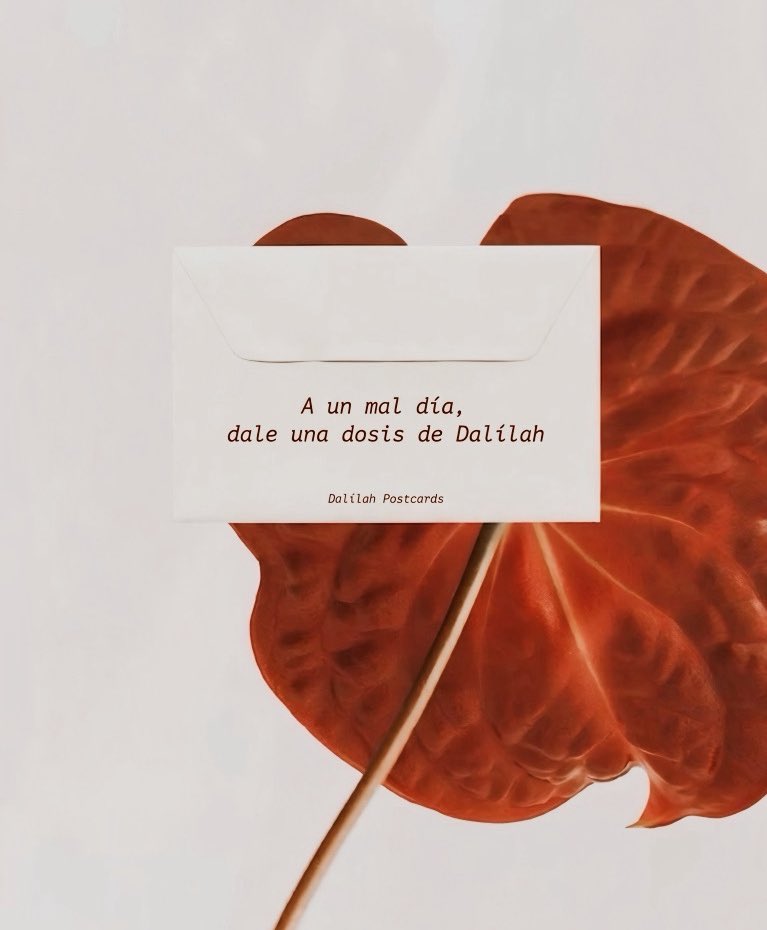 DALILAH PELUCHE 🧸 tweet media