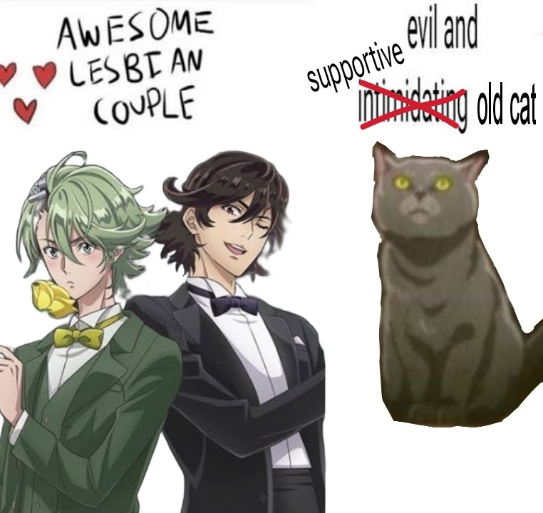 cass🐉 tweet media