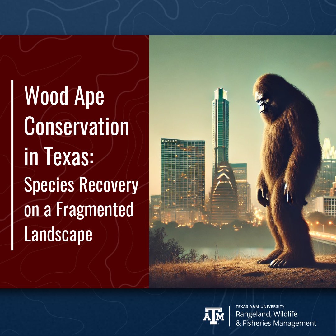 TAMU Department of Rangeland, Wildlife & Fisheries tweet media