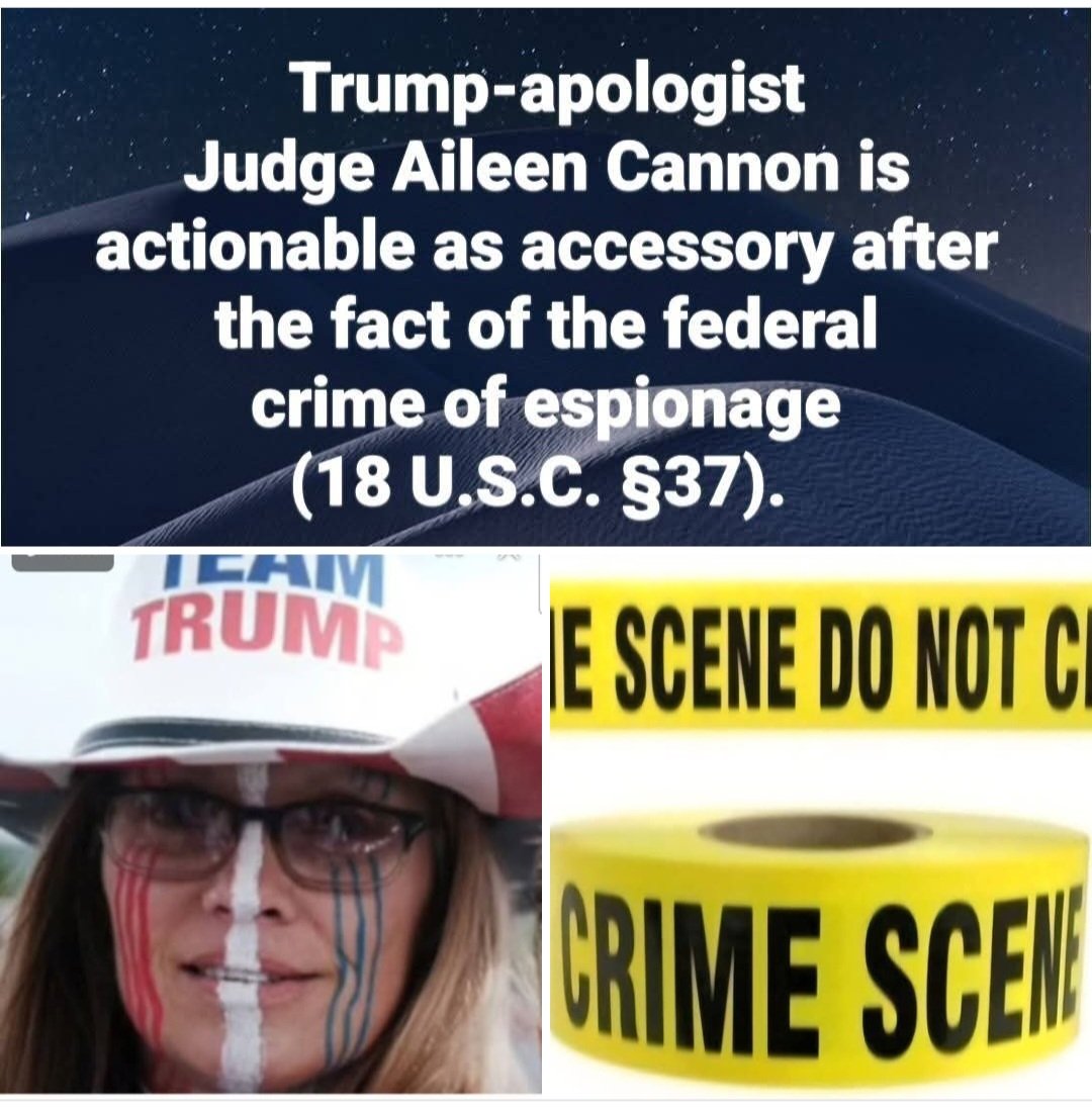 OhJack17's tweet photo. Comrade Cannon threw out "the open-and-shut documents-theft and multiple-falsifications to the FBI" case on the preposterous basis of having received those criminal charges from a special prosecutor. Both she and the perp should live together in sin in a federal penitentiary. 😂 https://t.co/bUPfg3Adhs