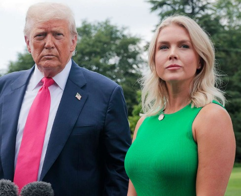 Occupy Democrats tweet media