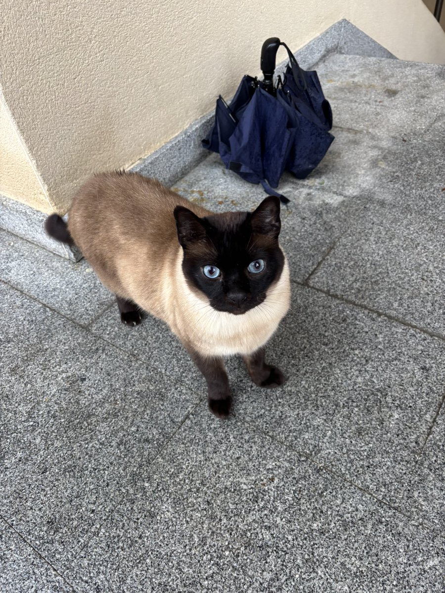 Imperator tweet media