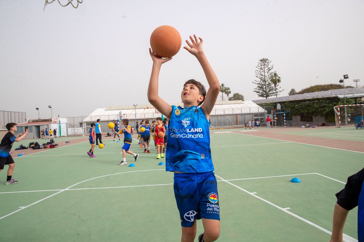 Dreamland Gran Canaria tweet media