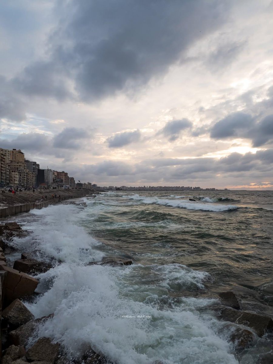 ✿ فــراولة tweet media