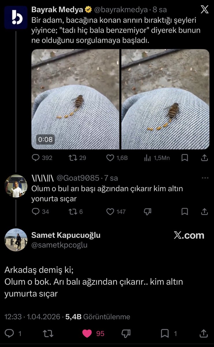 zehraleyna_'s tweet photo. Tarihte ilk kez Türkçeden Türkçeye çeviri gerçekleşti 👏🏼 https://t.co/3uQJc7iy8m
