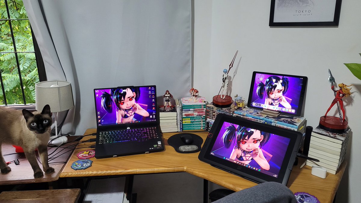 Raufe (Don Gato) tweet media